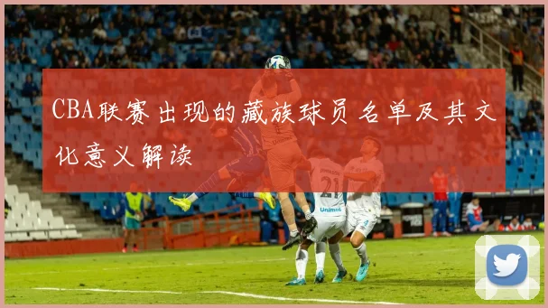 CBA联赛出现的藏族球员名单及其文化意义解读
