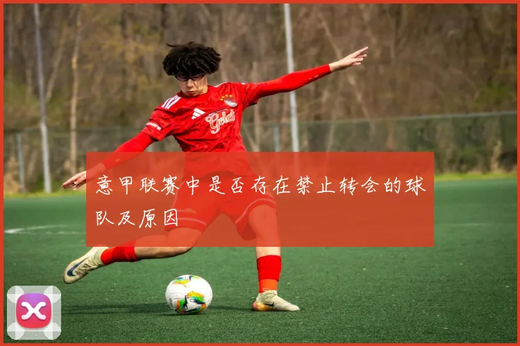 意甲联赛中是否存在禁止转会的球队及原因