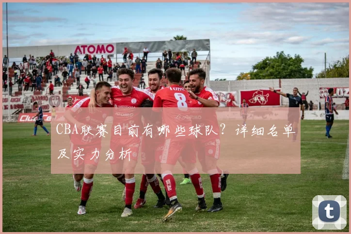 CBA联赛目前有哪些球队？详细名单及实力分析