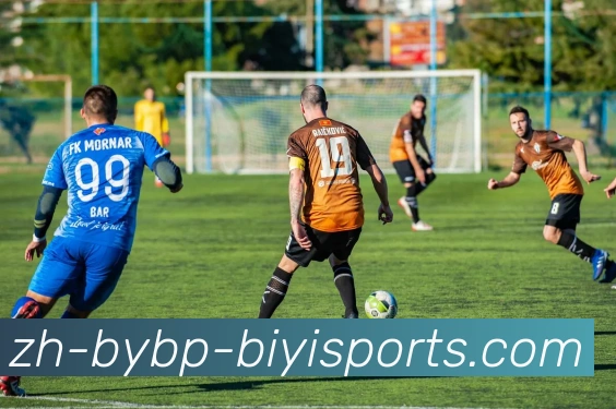 必一体育官方网站全站App 必一体育官方网站全站App